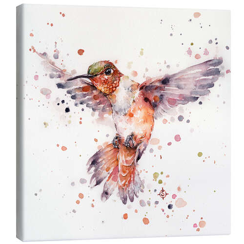 Canvas print Rufous the hummingbird