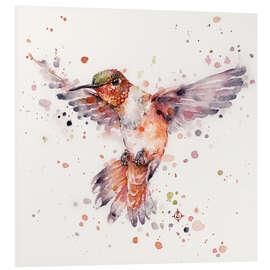 Foam board print Rufous the hummingbird