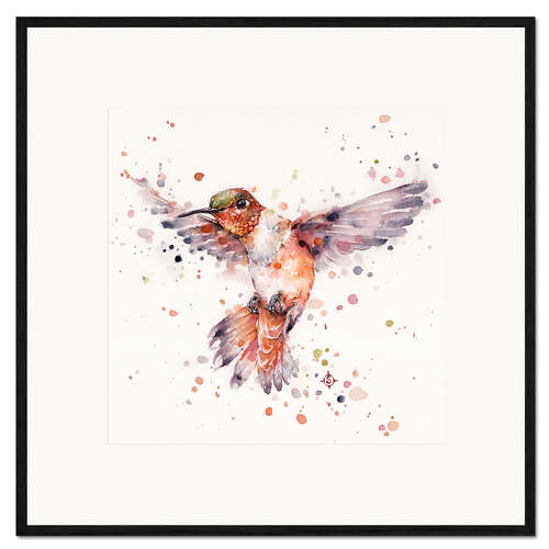 Impresión de arte enmarcada Rufous el colibrí