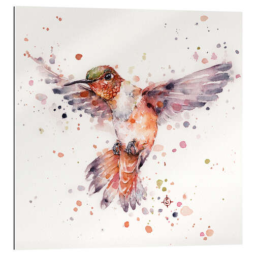 Tableau en plexi-alu Rufous le colibri