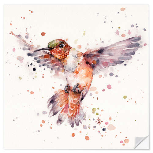 Sticker mural Rufous le colibri