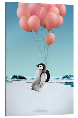 Gallery print Penguin