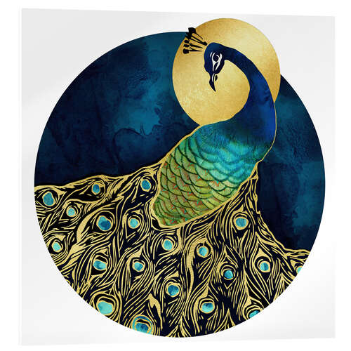 Acrylic print Golden Peacock