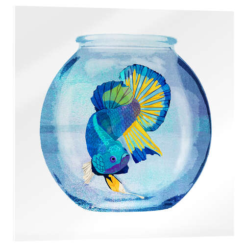 Acrylic print Fish in the glass