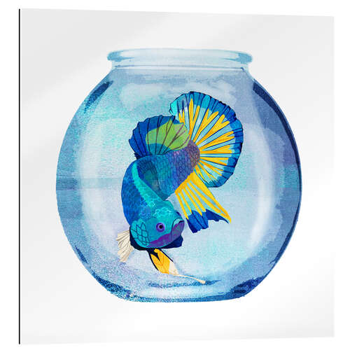 Gallery print Fish in the glass