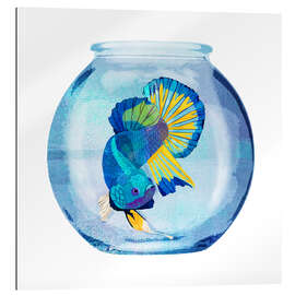 Gallery print Fish in the glass