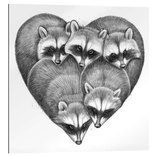 Gallery print Heart from raccoons