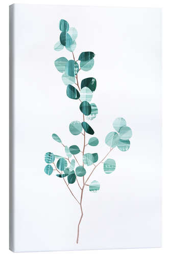 Canvas print Eucalyptus