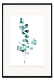 Gerahmter Kunstdruck Eukalyptus