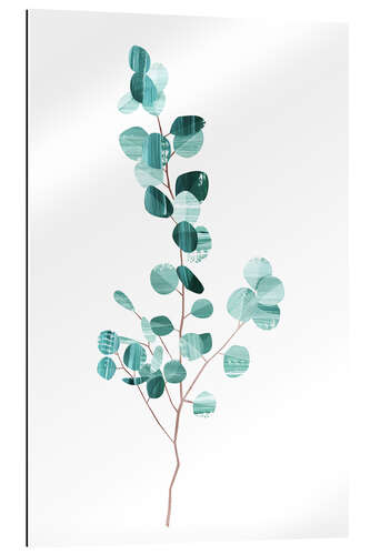 Galleriprint Eucalyptus