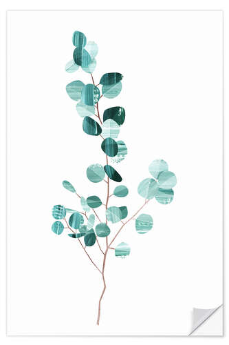 Wall sticker Eucalyptus