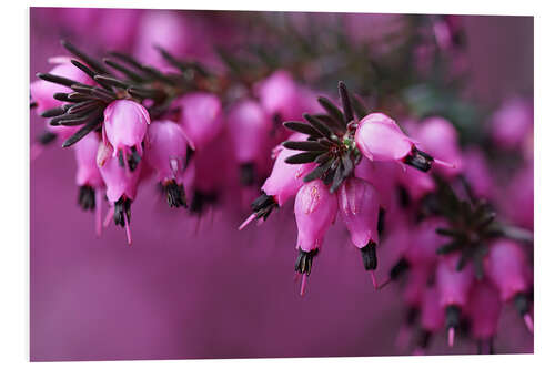 Tableau en PVC heathland