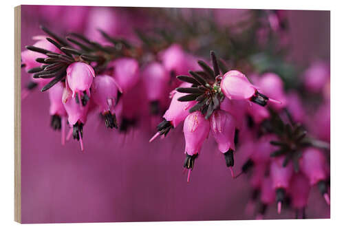 Tableau en bois heathland