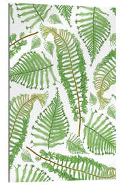 Gallery print Ferns