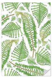 Wall sticker Ferns