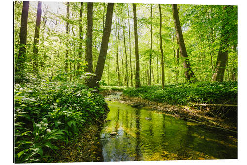 Gallery print Fresh green forest