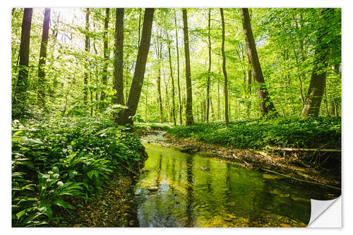 Wandsticker Frischer grüner Wald