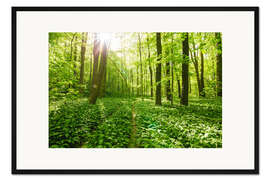 Gerahmter Kunstdruck Sonnen geflutete grüne Waldlandschaft