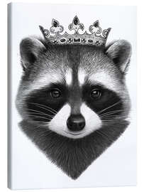 Canvas print King raccoon