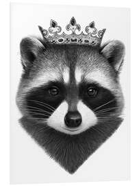 Foam board print King raccoon