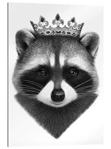 Gallery print King raccoon