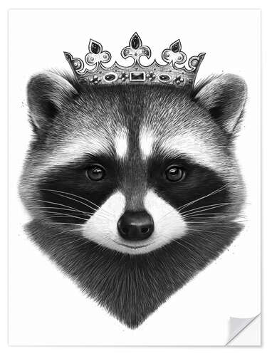 Wandsticker King raccoon