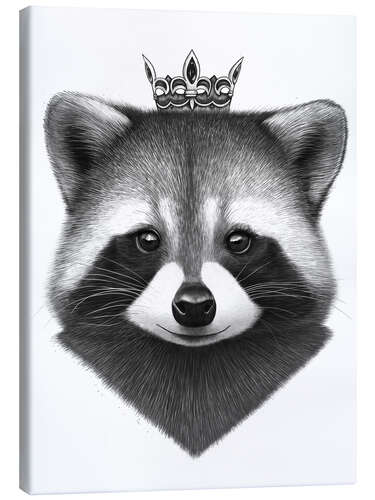 Leinwandbild Raccoon queen