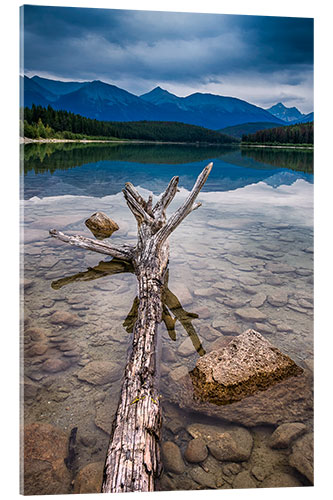 Acrylic print Patricia Lake