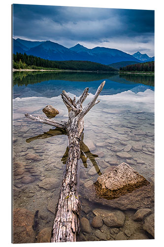 Gallery print Patricia Lake