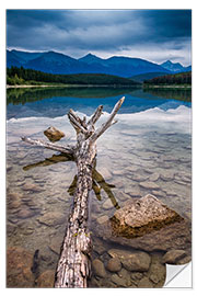 Selvklebende plakat Patricia Lake