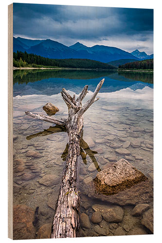 Stampa su legno Patricia Lake