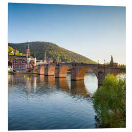 Foam board print Heidelberg Old Bridge in spring, Baden-Wurttemberg, Germany