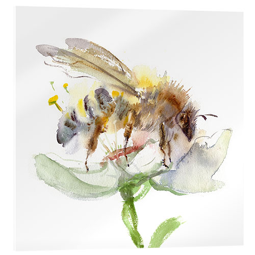 Acrylglas print Honey bee