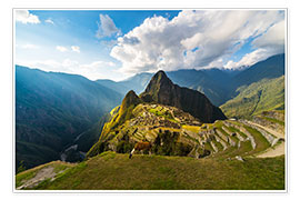 Poster Soleil sur le Machu Picchu, Pérou