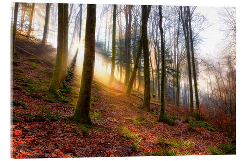 Acrylic print Sunrise in the Karlstalschlucht