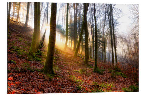 Alubild Sonnenaufgang in der Karlstalschlucht