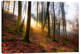 Canvas print Sunrise in the Karlstalschlucht