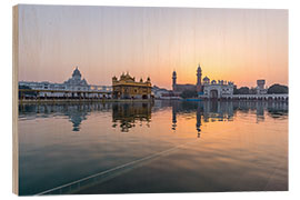 Puutaulu The Golden Temple at sunrise, Amritsar, India