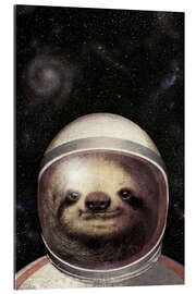 Galleritryk Space Sloth