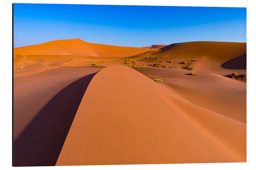 Aluminiumsbilde Sand dunes and blue sky at Sossusvlei, Namib desert, Namibia