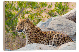 Holzbild Leopard zwischen Felsen nah herauf Nationalpark Kruger, Südafrika