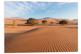 Tableau en PVC Morning mist over sand dunes and Acacia trees at Sossusvlei, Namibia