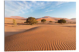 Gallery print Morning mist over sand dunes and Acacia trees at Sossusvlei, Namibia