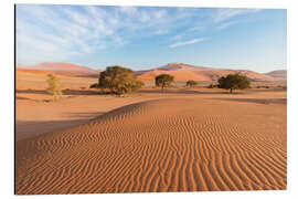Magnettafel Morgennebel über Sanddünen und Akazienbäume bei Sossusvlei, Namibia