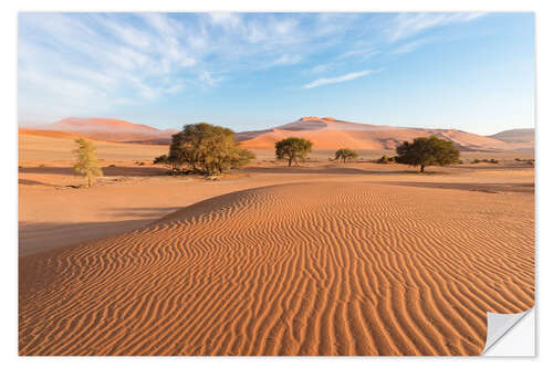 Sisustustarra Morning mist over sand dunes and Acacia trees at Sossusvlei, Namibia