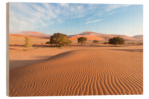 Wood print Morning mist over sand dunes and Acacia trees at Sossusvlei, Namibia