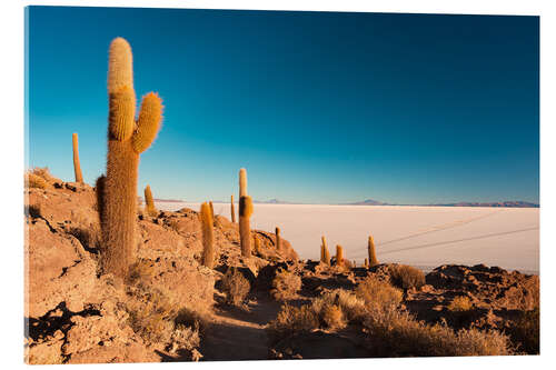 Acrylic print Isla Incahuasi and Uyuni Salt Flat at sunrise, travel destination in Bolivia.