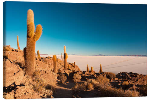 Tableau sur toile Isla Incahuasi and Uyuni Salt Flat at sunrise, travel destination in Bolivia.