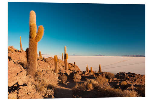 Foam board print Isla Incahuasi and Uyuni Salt Flat at sunrise, travel destination in Bolivia.