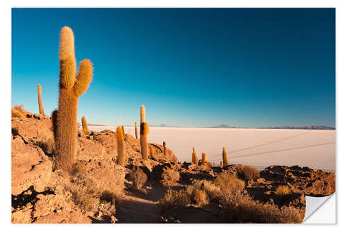 Wall sticker Isla Incahuasi and Uyuni Salt Flat at sunrise, travel destination in Bolivia.